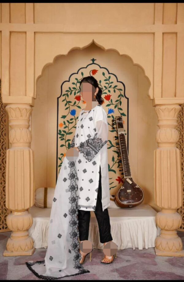 Elegant Summer Organza Cutwork Collection – Heavy Embroidery & Luxury Fabric - Image 2