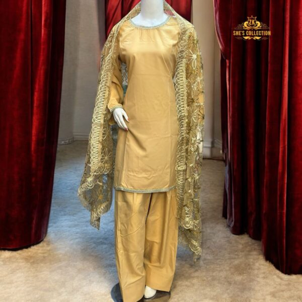 Elegant Silk Ensemble with Intricate Embroidery – Limited Edition - Image 2
