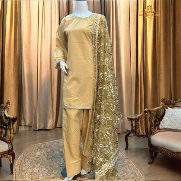 Elegant Silk Ensemble with Intricate Embroidery – Limited Edition - Image 7