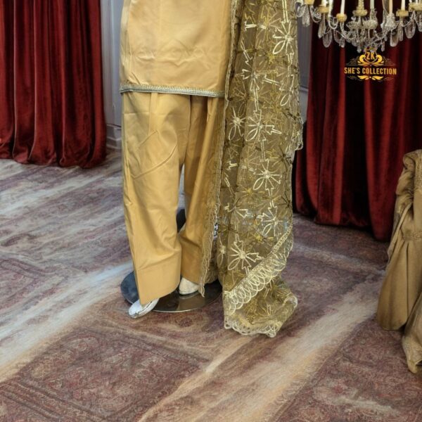 Elegant Silk Ensemble with Intricate Embroidery – Limited Edition - Image 8