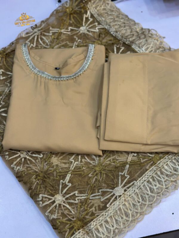 Elegant Silk Ensemble with Intricate Embroidery – Limited Edition - Image 4