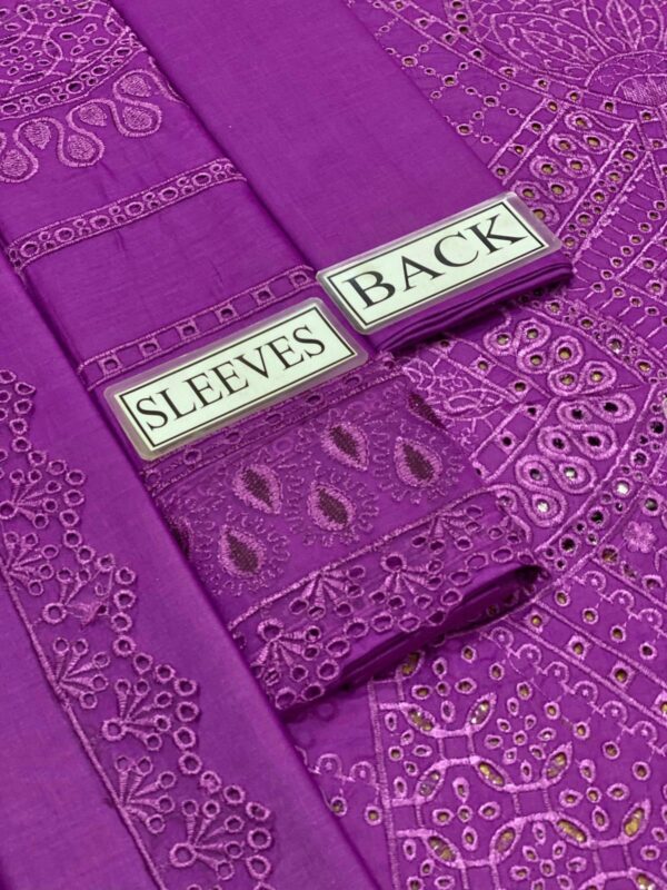 Grace Redefined with MARIA B Chikankari Luxe 2K24 Edition - Image 3