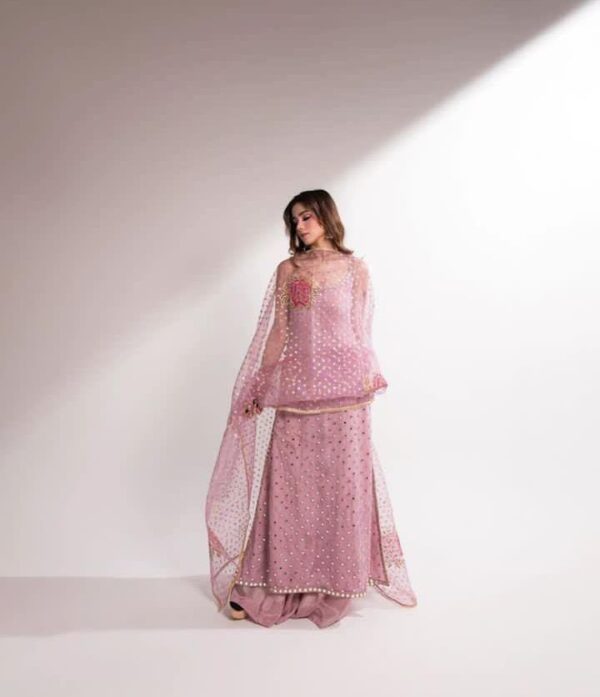 Hot Mirror Work Dress 2K25 | Heavy Handmade Organza 3-Piece with Paint Brush & Katan Silk – Premium Fancy Wear - Image 2