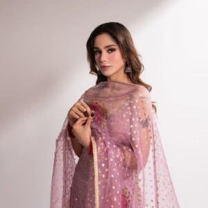 Hot Mirror Work Dress 2K25 | Heavy Handmade Organza 3-Piece with Paint Brush & Katan Silk – Premium Fancy Wear