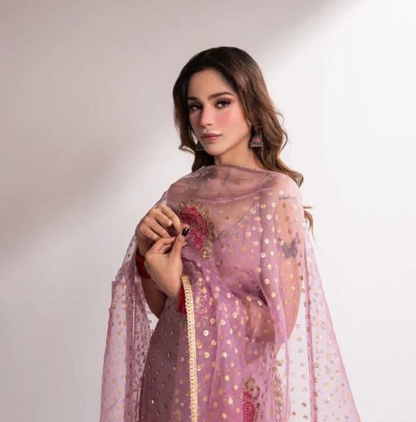 Hot Mirror Work Dress 2K25 | Heavy Handmade Organza 3-Piece with Paint Brush & Katan Silk – Premium Fancy Wear