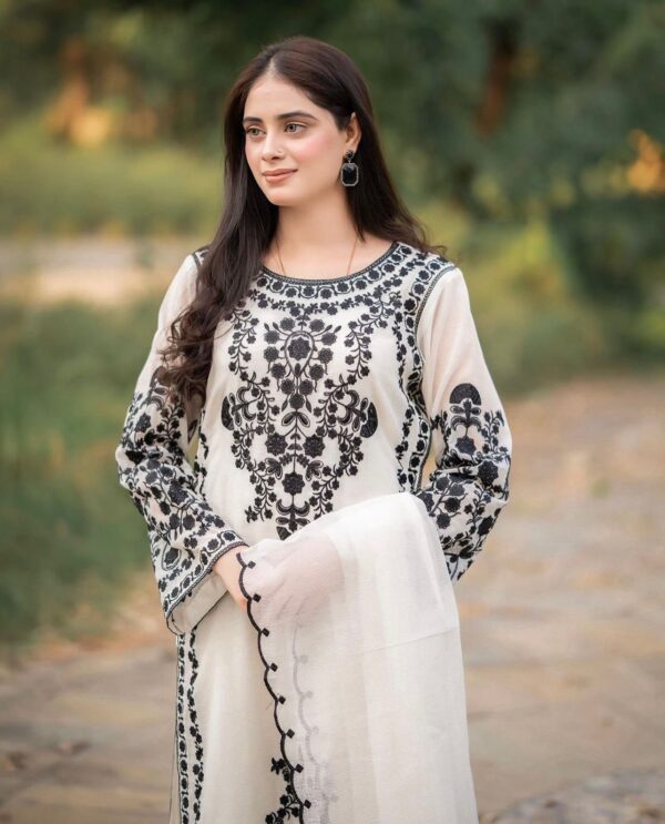 Jane-Janat Organza 3PC Set | Fully Embroidered Shirt, Trouser & Dupatta – 4 Colors Available 3
