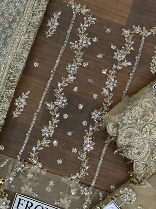 Alizay Fashion Organza Dress with Silk Trouser & Ready-to-Wear Dupatta | Elegant Full Dress with Stunning Work | Rs. 5450 - Image 6