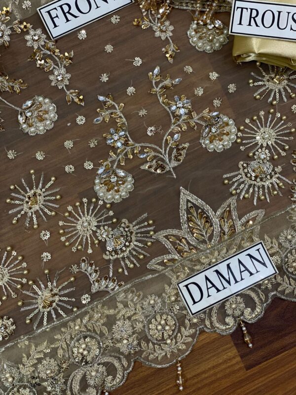 Alizay Fashion Organza Dress with Silk Trouser & Ready-to-Wear Dupatta | Elegant Full Dress with Stunning Work | Rs. 5450 - Image 8